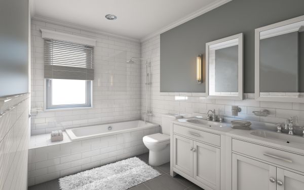 Restroom Remodeling in Palatine
