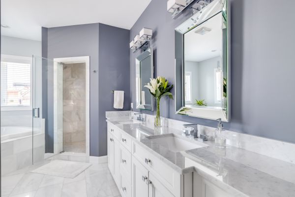 Restroom Renovation in Palatine