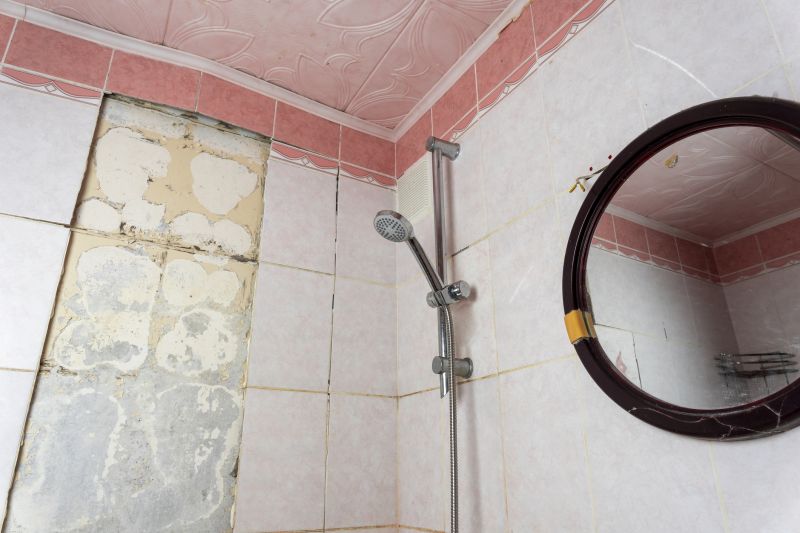 Top Shower Remodeling Companies in Round Lake, IL
