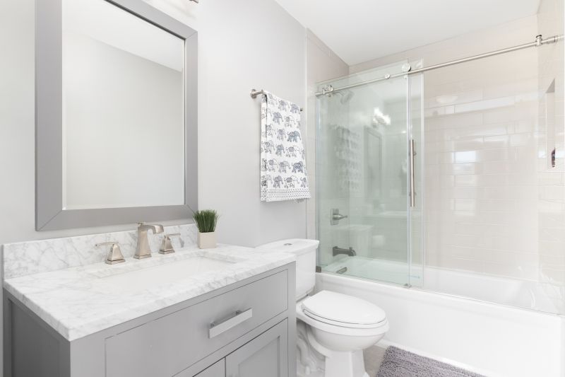 Top Tub To Shower Conversion Companies in Elk Grove Village, IL