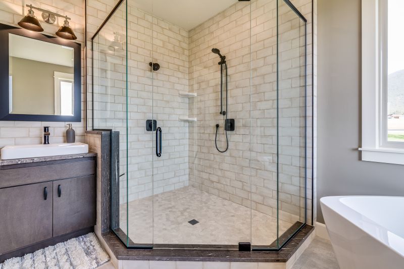 Top Tub To Shower Conversion Companies in Grayslake, IL