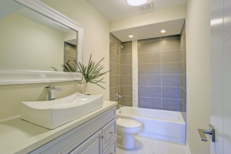 Top Tub To Shower Conversion Companies in Saint Charles, IL